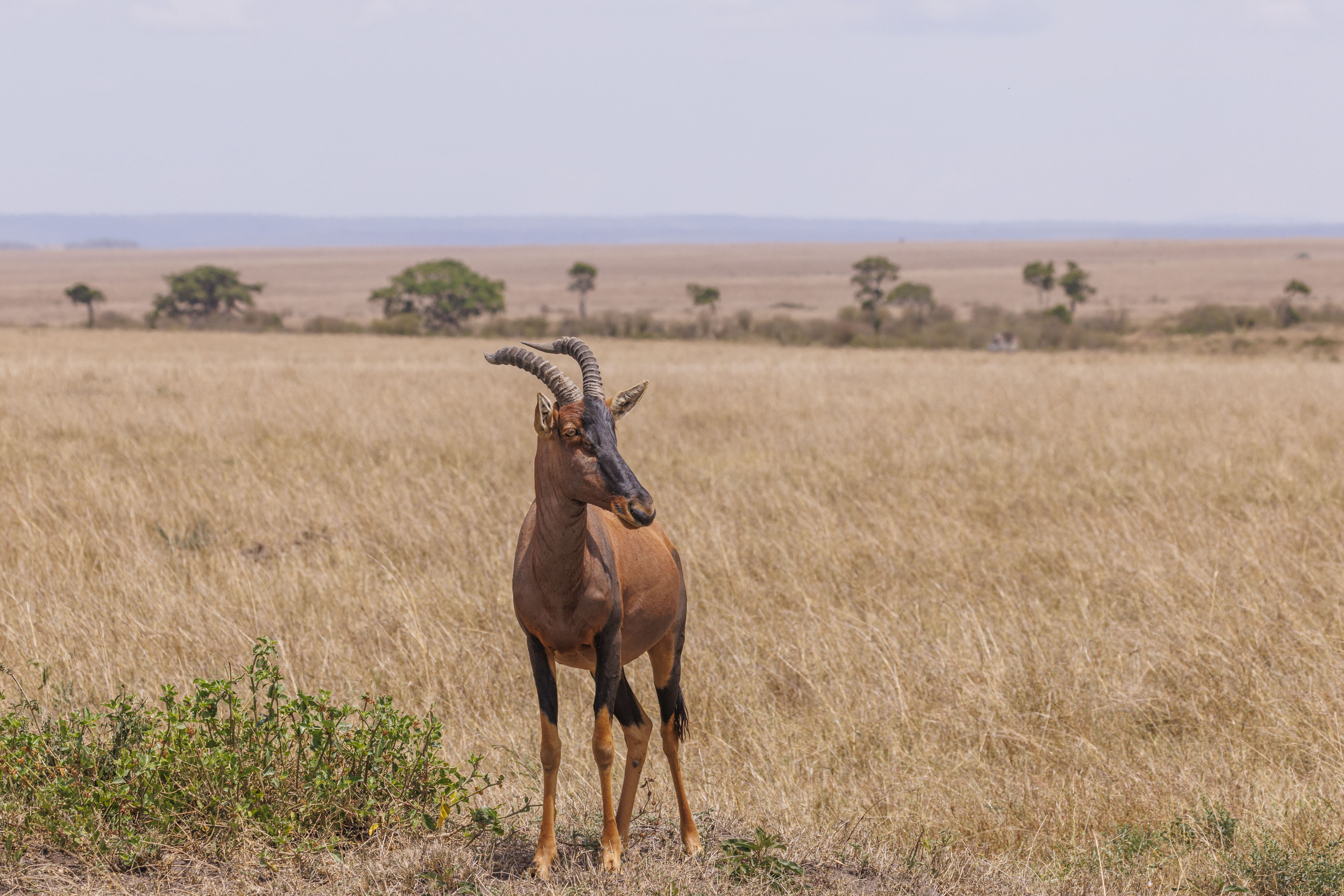 November 10, 2022-112000-3.jpg